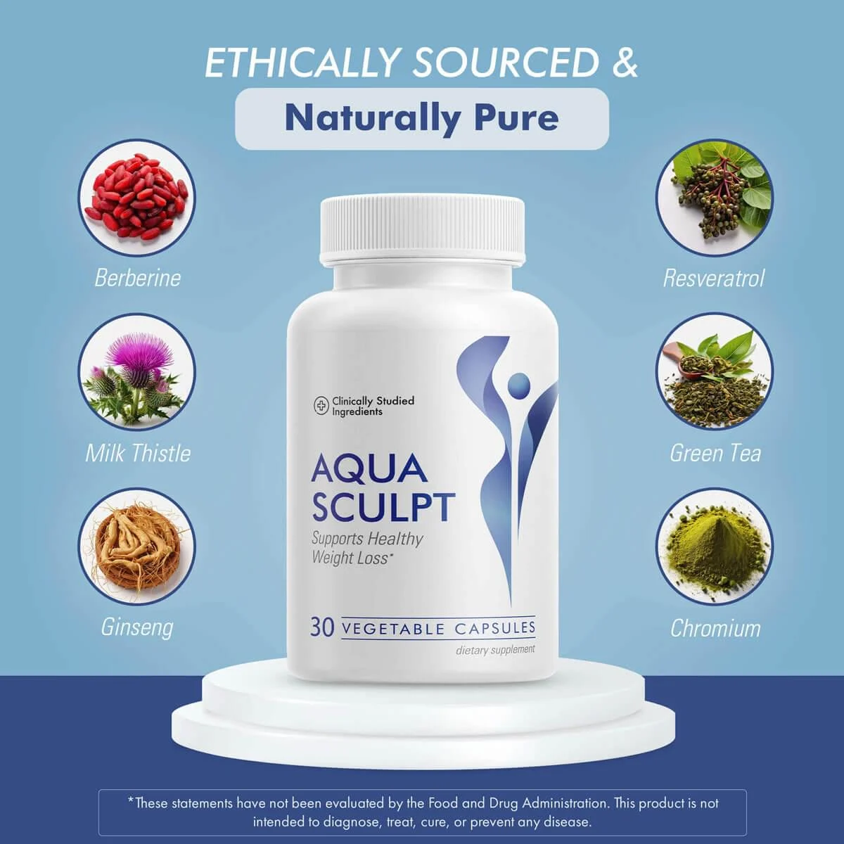 AquaSculpt